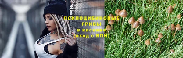 дурь Михайловка