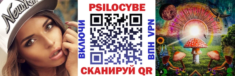 Купить закладки  Ангарск  Псилоцибиновые грибы GOLDEN TEACHER 